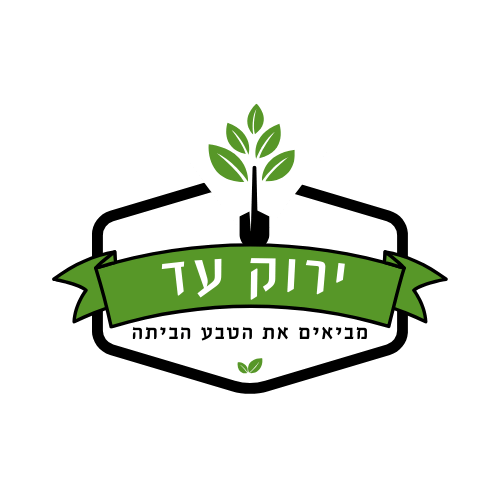 יהונתן ב.