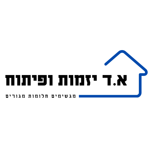 תומר ב.